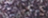 240091330-PAERLY VIOLET 240091330-PAERLY VIOLET
